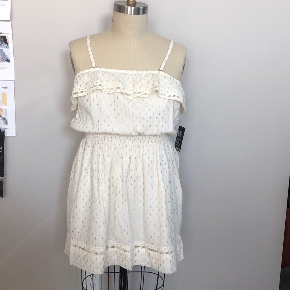 NWT Express Metallic Dobby Cotton Woven Dress
